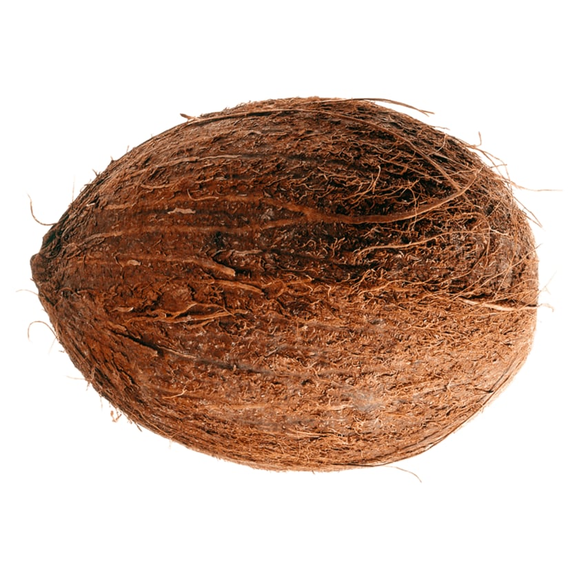 Kokosnuss 1 Stück